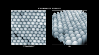 纳米粒子的形貌（左）和 3D 形貌（右）图像