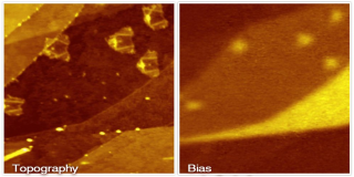 开尔文探针测量在钛酸锶 (SrTiO3) 上剥离的石墨烯以非接触式 AFM 模式获得，使用 -5 Hz 的频移。石墨烯在 6°掠射入射下用氙 23+ 离子照射。在单层上，离子的影响导致特征折叠。在 Bias-Image 中，可以清楚地看到该区域中暴露的底层基板。此外，与少数单层相比，单层与 SrTiO3 的表面电位差较低。