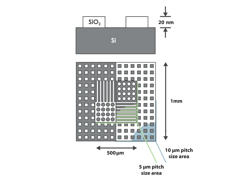 HS-20MG