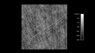 石英原子台阶上的碳纳米管和束