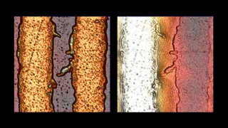 具有不同偏置金属线的静电力显微镜 (EFM) 测试样品。地形数据（第一张图像）显示两条金属线，静电力数据有助于区分偏置线（左，2 伏）和接地线（右）。