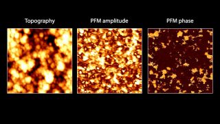 多晶 Pb(Zr0.3Ti0.7)O3 薄膜的形貌（左）、PFM 幅度（中）和 PFM 相位（右）图像