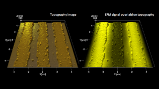 轻敲模式地形（左）和静电力显微镜叠加在绝缘基板上金属线的形貌（右）图像上。 EFM 有助于区分偏置为 3V 的两条线路和中间的接地线路。