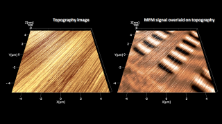 轻敲模式地形（左）和磁力显微镜叠加在硬盘盘片表面的地形（右）图像上。 MFM 揭示了通过磁化铁磁薄膜的小区域而存储的隐藏信息位。